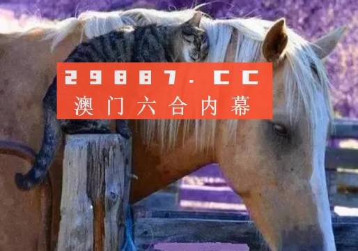 澳門一肖一碼一待一中四不像，探索與解析，澳門一肖一碼一待一中四不像，深度解析與探索