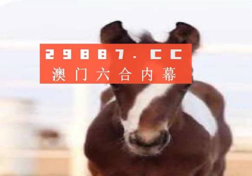 澳門一肖一碼一待一中資料，深度解析與探索，澳門一肖一碼深度解析與探索揭秘資料