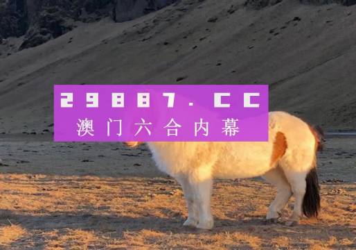 澳門天天彩資料正版免費特色快8，探索彩票世界的魅力與機遇，澳門天天彩正版特色快8，彩票世界的魅力與機遇探索