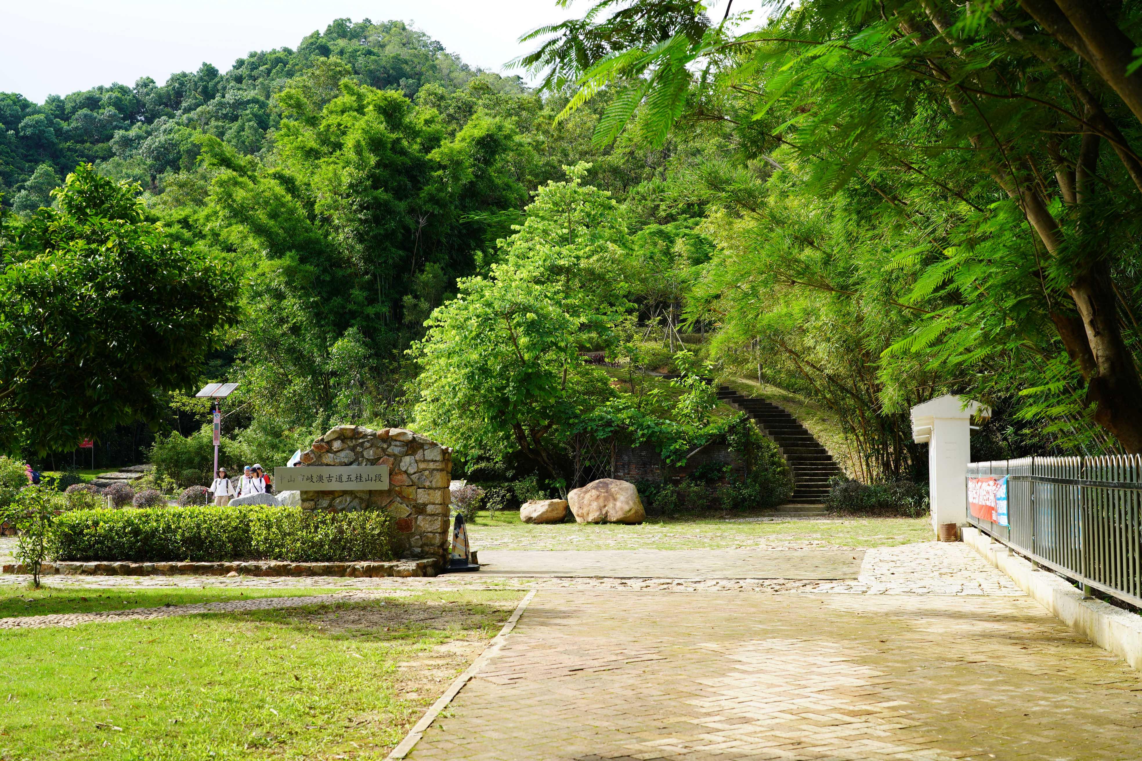 新澳門彩生肖走勢(shì)圖，探索與解讀彩票背后的秘密，探索解讀新澳門彩生肖走勢(shì)圖，彩票背后的秘密揭秘