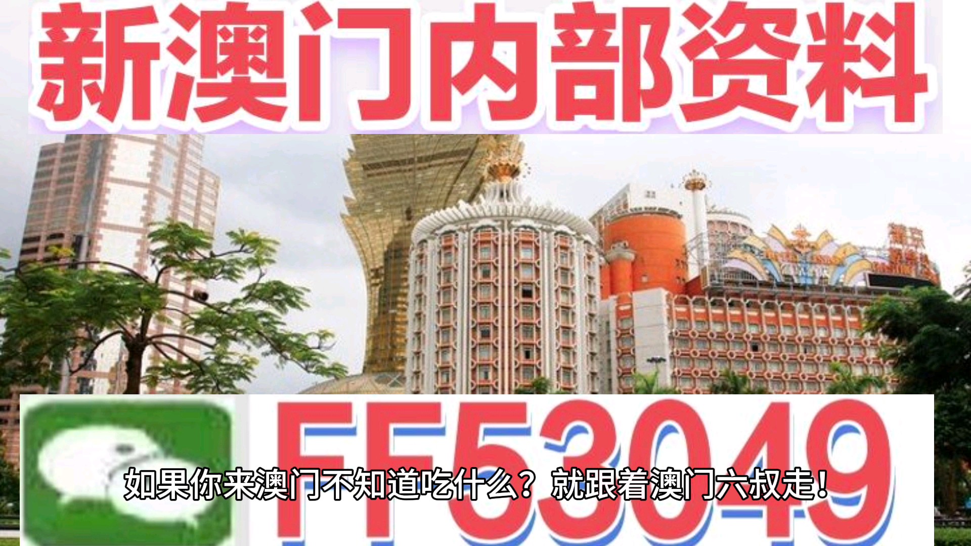 澳門今晚特馬生肖預測，探尋未來的幸運符號（2025年），澳門生肖預測揭秘，探尋未來幸運符號（特馬生肖預測 2025年展望）