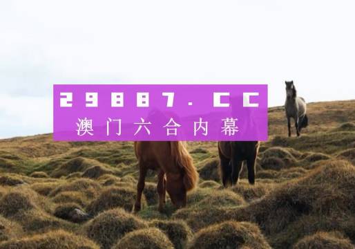 今晚新澳門開獎結(jié)果查詢9，全面解析與實(shí)用指南，澳門今晚開獎結(jié)果查詢9，全面解析與實(shí)用指南