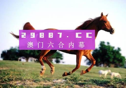 澳門一肖一碼一一子中特，探尋幸運(yùn)之門背后的秘密，澳門幸運(yùn)之門揭秘，一肖一碼一一子中的秘密探尋