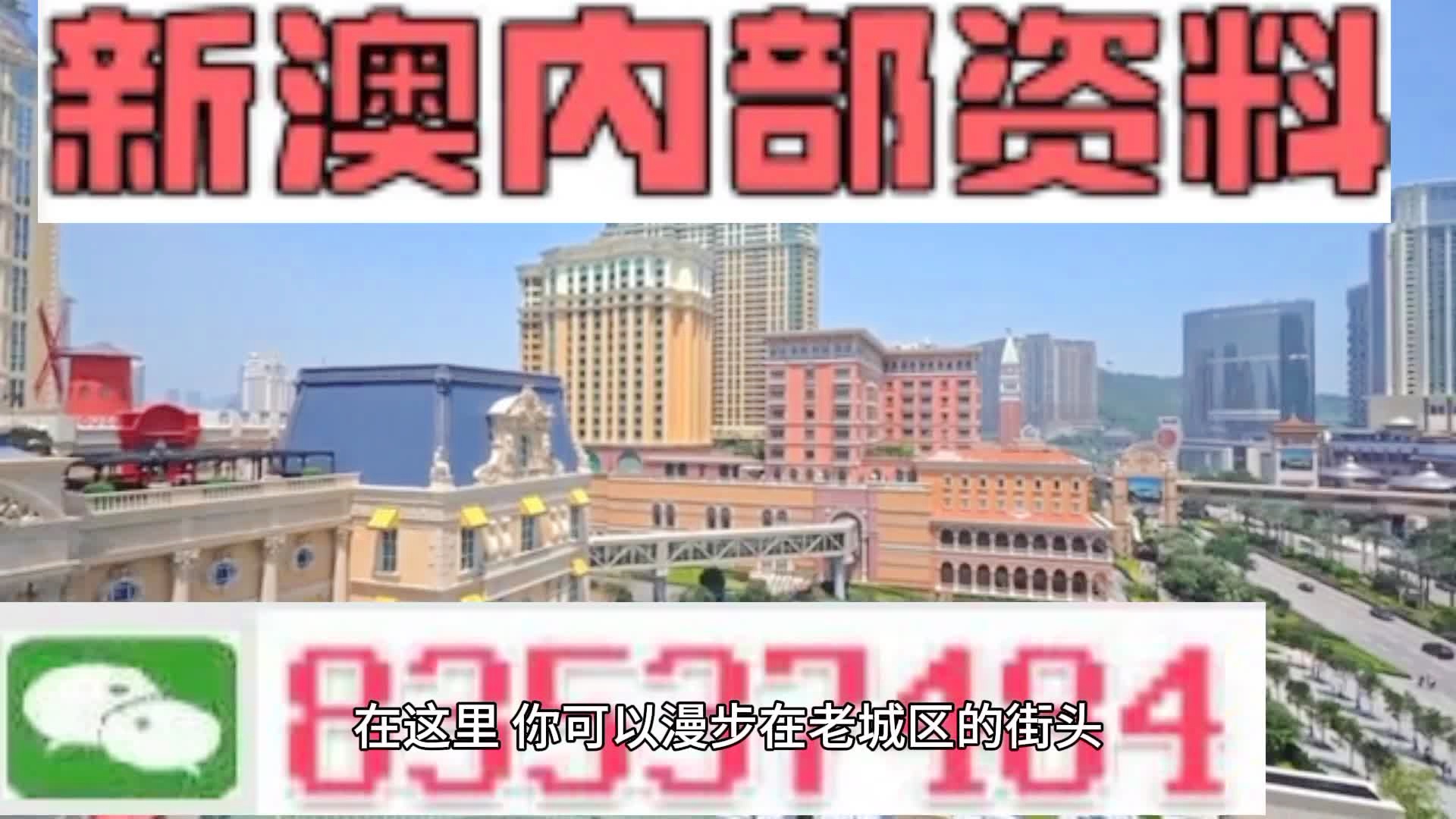 新澳門期期準精準，探索澳門的未來與SEO策略，澳門未來展望與SEO策略探索，精準瞄準新機遇