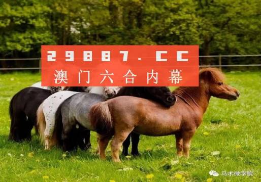王中王四不像正版一肖中特圖，揭秘背后的秘密與獨(dú)特魅力，揭秘王中王四不像正版一肖中特圖的獨(dú)特魅力和背后秘密