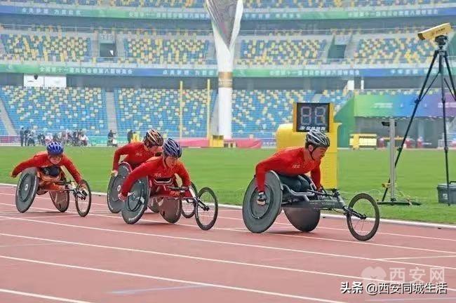 2025年澳門精準免費大全——全面解析澳門未來展望與特色體驗，澳門未來展望與特色體驗解析，澳門精準免費大全（2025版）