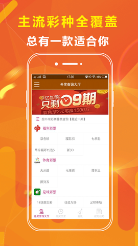 王中王正版一肖資料大全，深度解析與探索，王中王正版一肖資料大全，深度剖析與探索