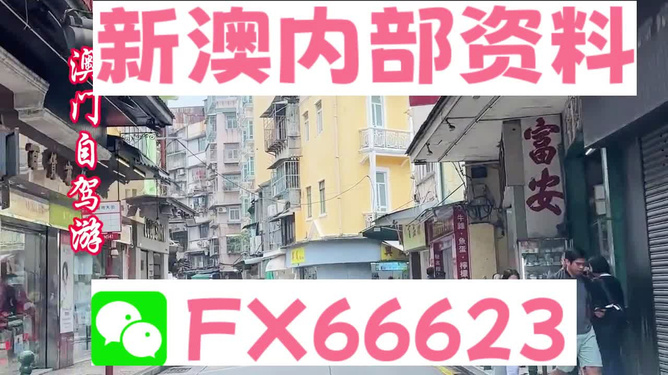 新澳精準(zhǔn)資料免費(fèi)提供，探索與解析，新澳精準(zhǔn)資料解析與探索，免費(fèi)提供的深度解讀