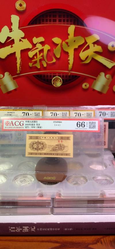 王中王致家一肖，解析背后的故事與奧秘，揭秘王中王致家一肖背后的故事與奧秘