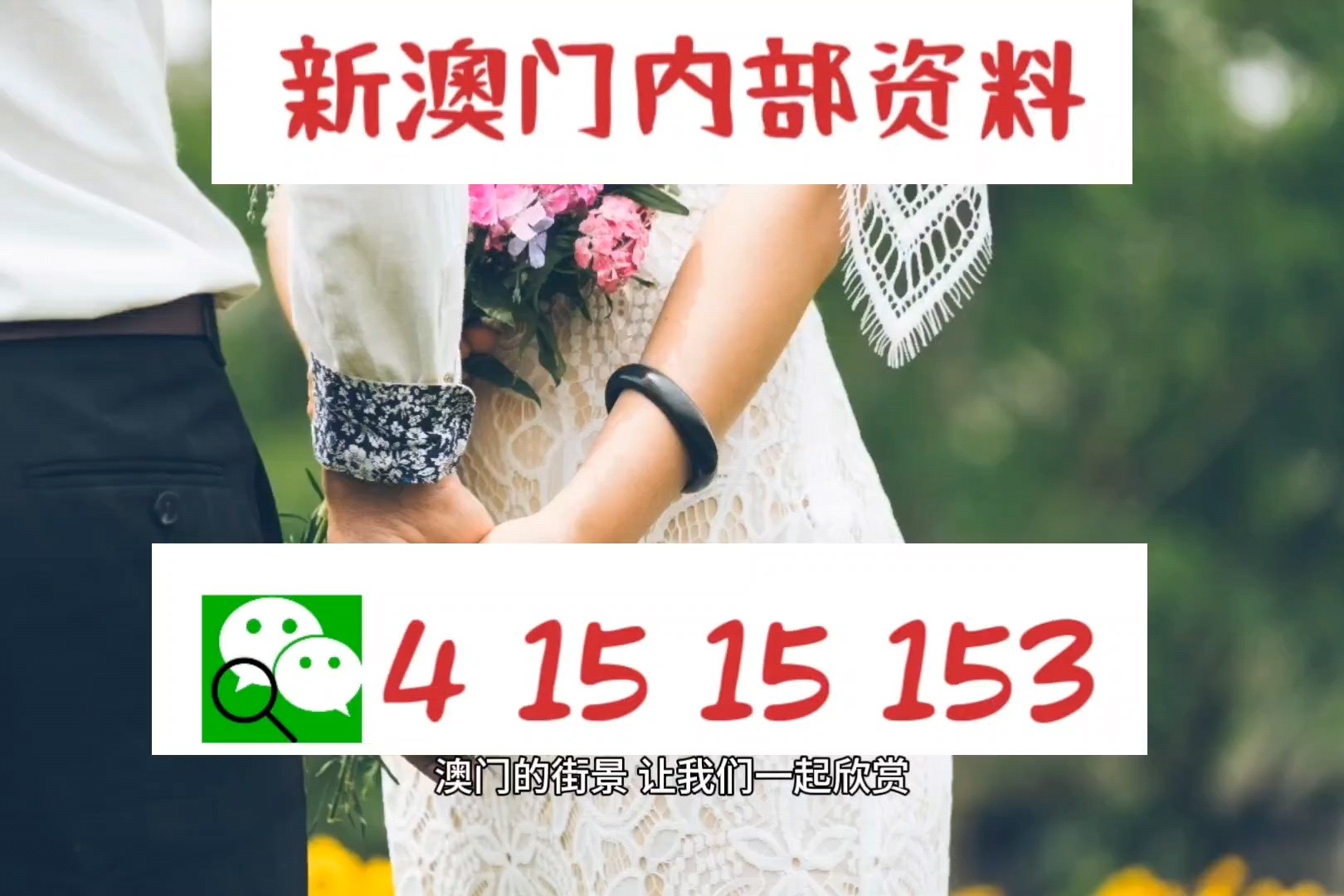 新澳最準(zhǔn)的免費資料——探索獨家信息的寶藏，新澳最準(zhǔn)獨家信息寶藏揭秘，免費資料一網(wǎng)打盡