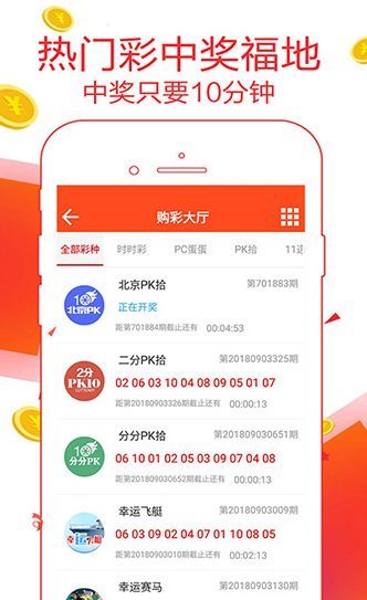 王中王一肖恃com，深度解析與SEO優(yōu)化策略，王中王一肖恃com，全面深度解析與SEO優(yōu)化策略探討