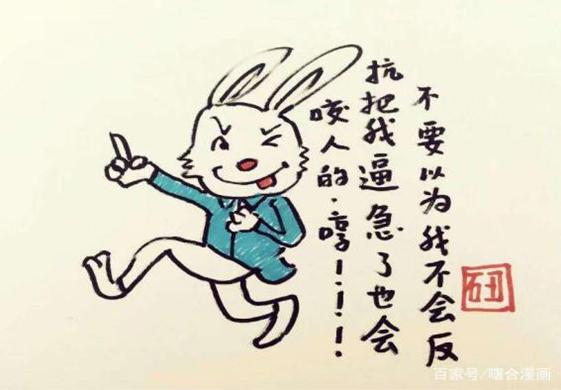 一肖不中賠多少倍，深度解析與策略建議，一肖不中賠倍深度解析及策略建議