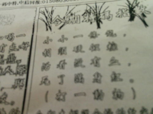 劉伯溫特一肖王中王，傳奇人物與生肖之王的神秘結(jié)合，劉伯溫生肖傳奇，傳奇人物與生肖之王的神秘交融