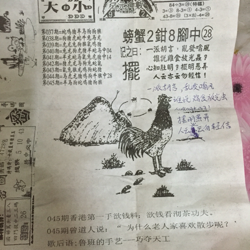 揭秘林中的高手王中王猜一肖的奧秘，揭秘林中之王王中王與生肖奧秘探秘