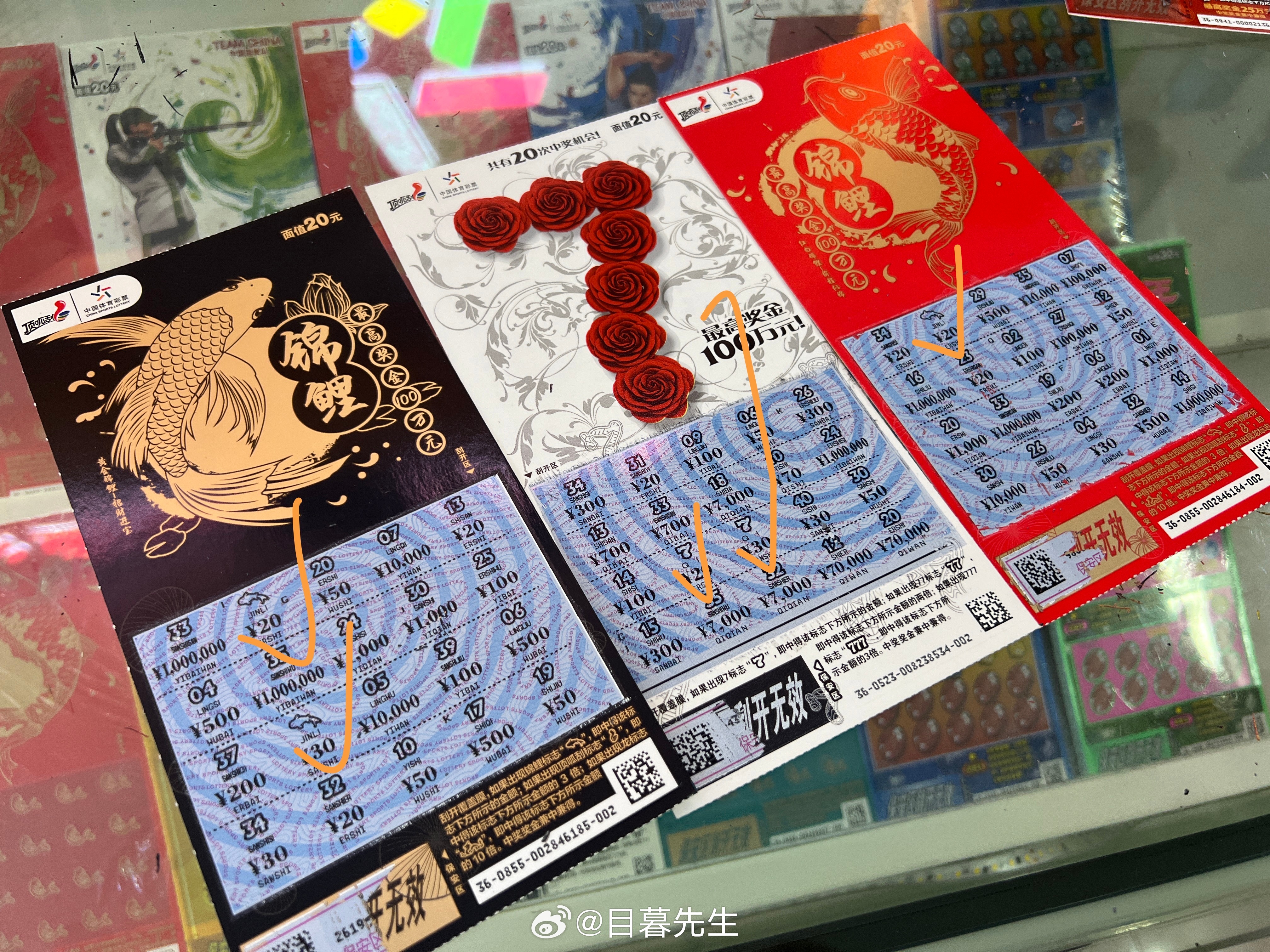 全年王中王一肖中特，深度解析與預(yù)測，全年王中王一肖深度解析與預(yù)測，揭秘特肖趨勢