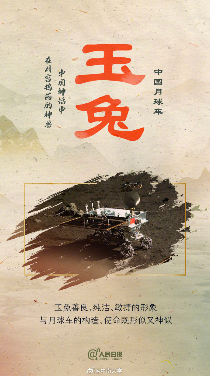 揭秘王中王平特一肖免會(huì)公開的奧秘，王中王平特一肖免公開揭秘奧秘