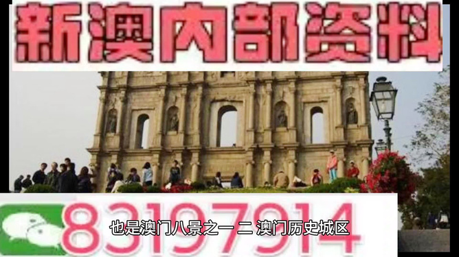 今晚澳門買什么最好？全方位解讀帶你走向勝利之路，澳門今晚買什么最佳？全方位指南引領你走向勝利之路